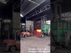 Barras precalentadas procedentes de Furance para la forja de bridas de acero inoxidable/acero al carbono