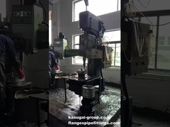 Perforación por perforación de cerrojo de bridas de acero inoxidable/acero al carbono